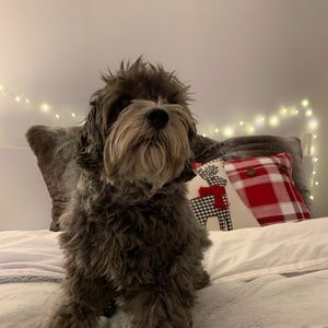 Meet your Posher, Marisa